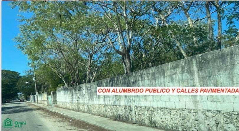 Land in Conkal, Yucatan, Mexico 1 - 17811077
