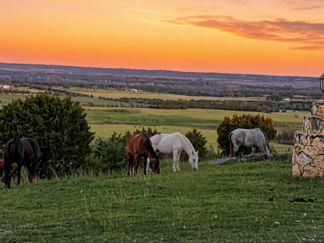 Land in Meridian, Texas, United States 5 - 18654821