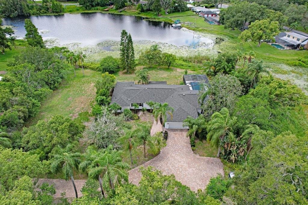 House in Tampa, Florida, United States 2 - 17672681