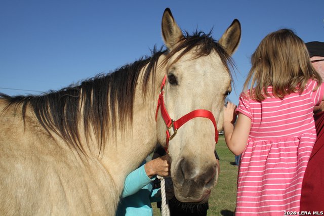 Farm Ranch in Bulverde, Texas, United States 4 - 18655018