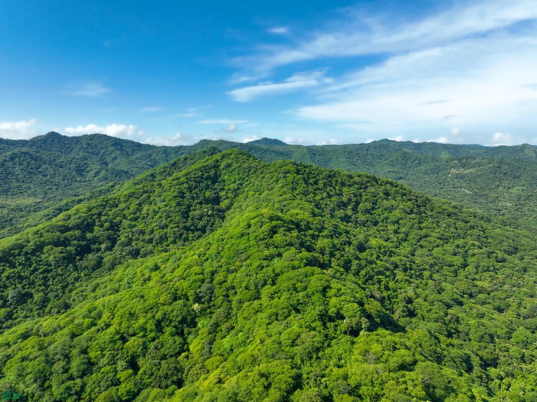 Land in Santa Cruz, Santa Cruz, Costa Rica 3 - 18184254