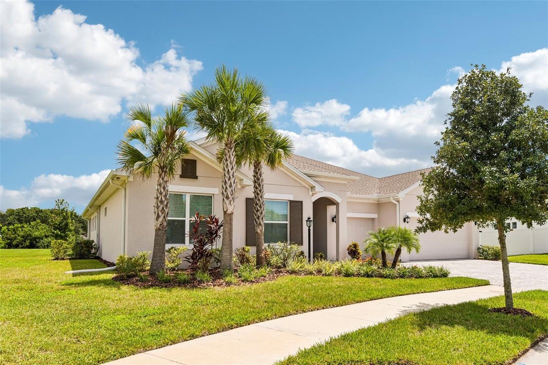 House in Odessa, Florida, United States 3 - 18653873