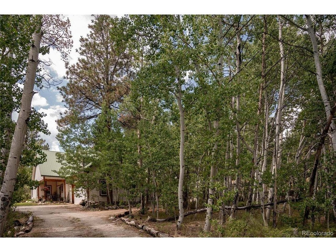 House in Buena Vista, Colorado, United States 2 - 18615633