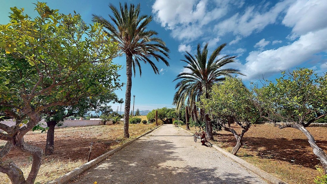 Country House in Palma, Balearic Islands, Spain 3 - 18658123