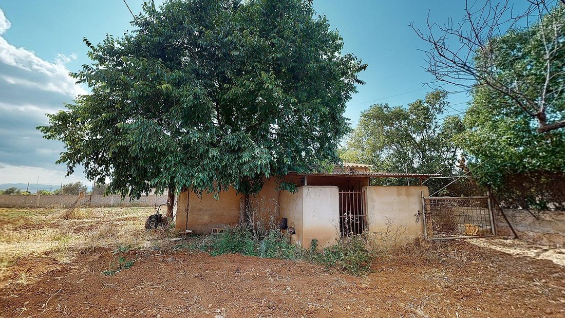 Country House in Palma, Balearic Islands, Spain 5 - 18658123