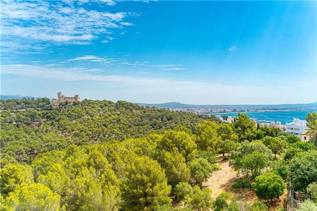 Apartment in Palma, Balearic Islands, Spain 1 - 18657948
