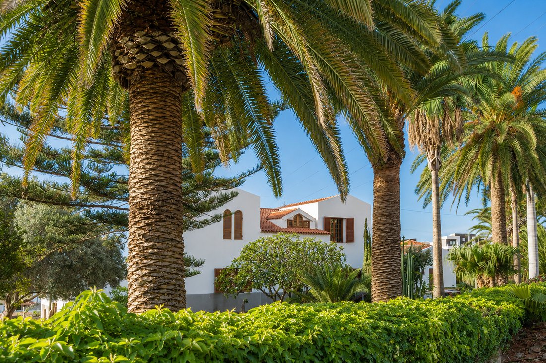 House in Candelaria, Canary Islands, Spain 5 - 18657547