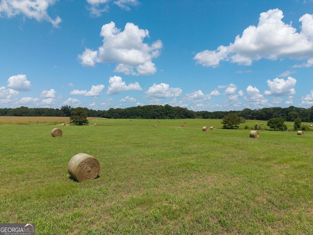 Farm Ranch in Alcovy Shores, Georgia, United States 5 - 18657492