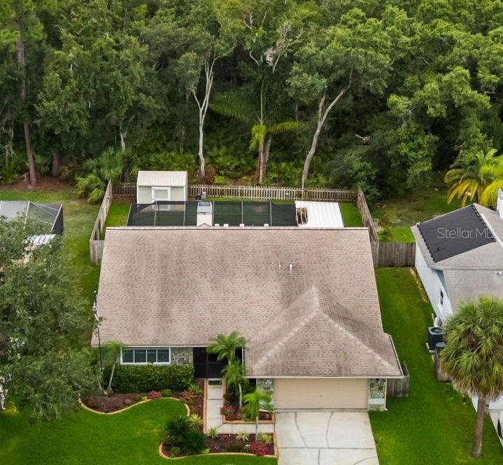 House in Tampa, Florida, United States 2 - 18657705