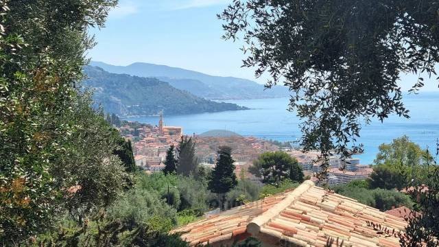 Villa in Menton, Provence-Alpes-Côte d'Azur, France 3 - 18411656