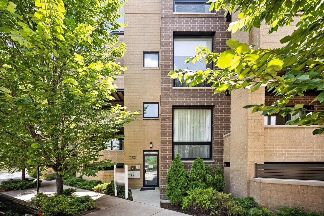 Condo in Chicago, Illinois, United States 1 - 18658018