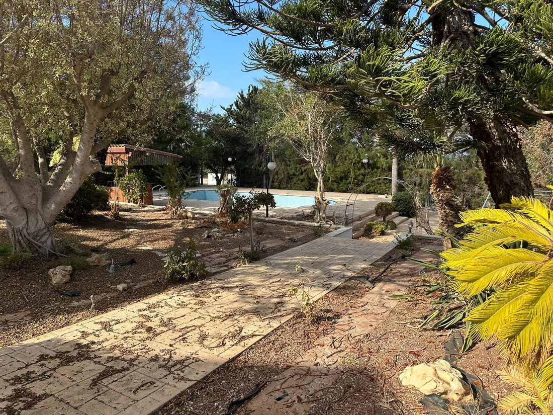 Villa in Chloraka, Paphos, Cyprus 4 - 18658524