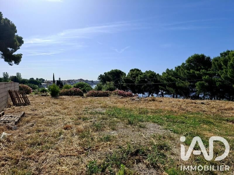 Land in Bouzigues, Occitania, France 1 - 18659533