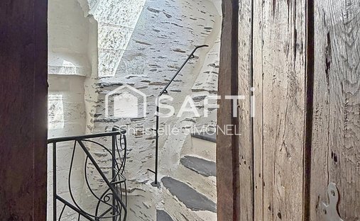 House in L'Ile-Saint Maurille, Les Ponts-de-Ce, France 1