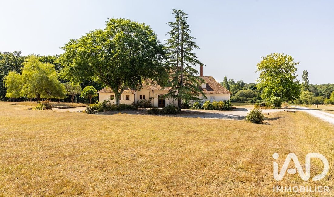 House in La Ferté-Saint-Cyr, Centre-Val de Loire, France 3 - 18659614