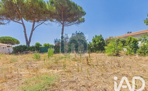 Land in Le Bois-Plage-en-Ré, Neu-Aquitanien, Frankreich 1