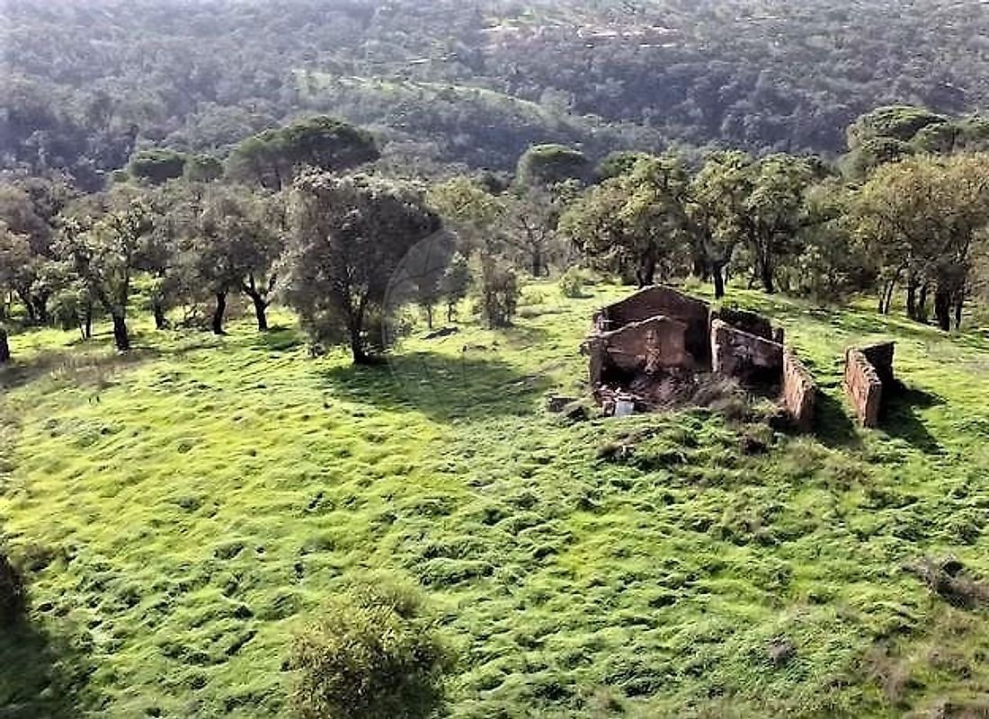 Farm Ranch in Melides, Setubal, Portugal 1 - 15132992