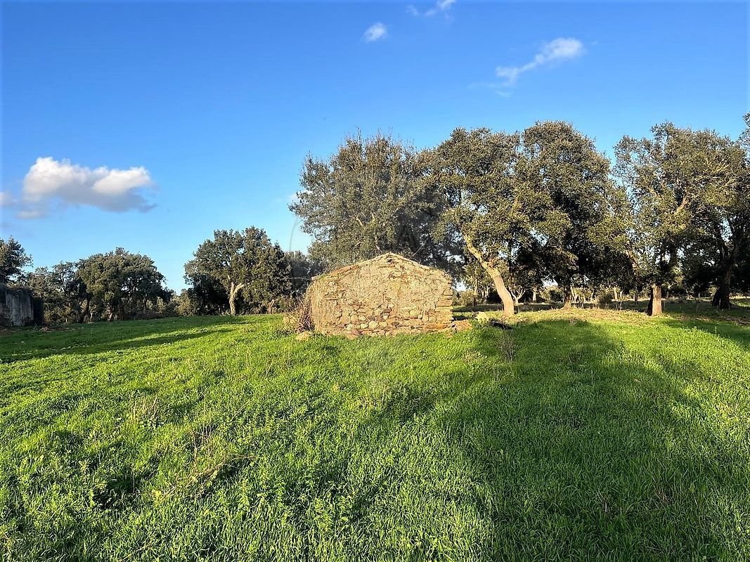 Farm Ranch in Cercal, Setubal, Portugal 3 - 15171639