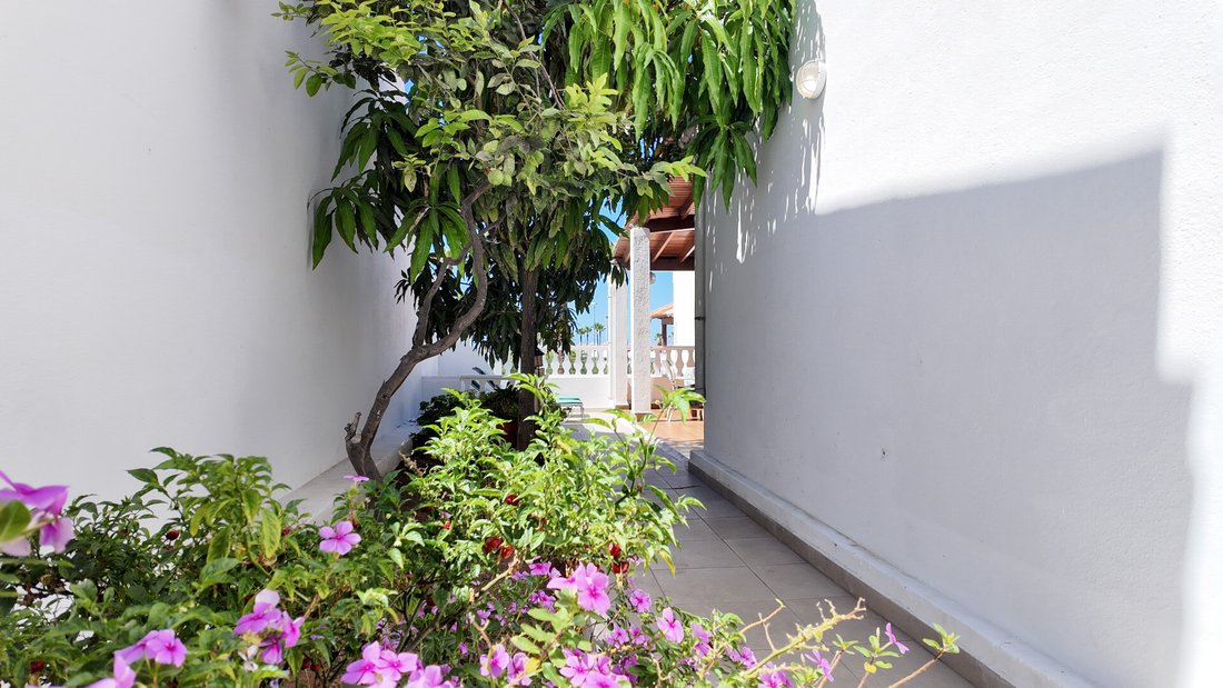 Villa in Costa Adeje, Adeje, Canary Islands 4 - 18658356