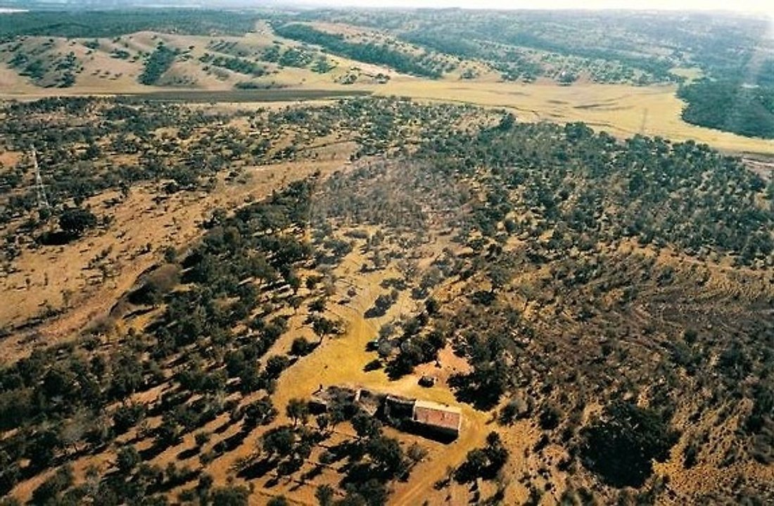 Farm Ranch in Cercal, Setubal, Portugal 4 - 15171639