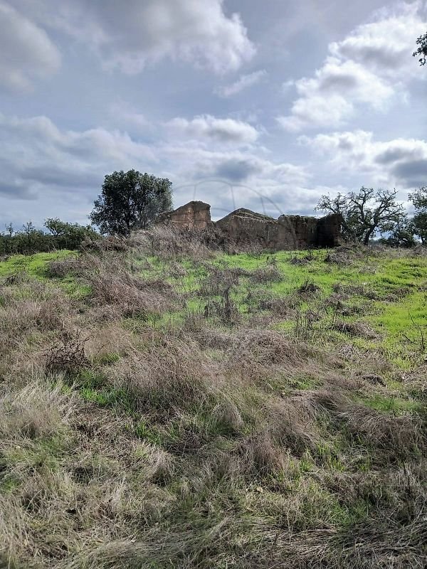 Farm Ranch in Melides, Setubal, Portugal 3 - 15132992