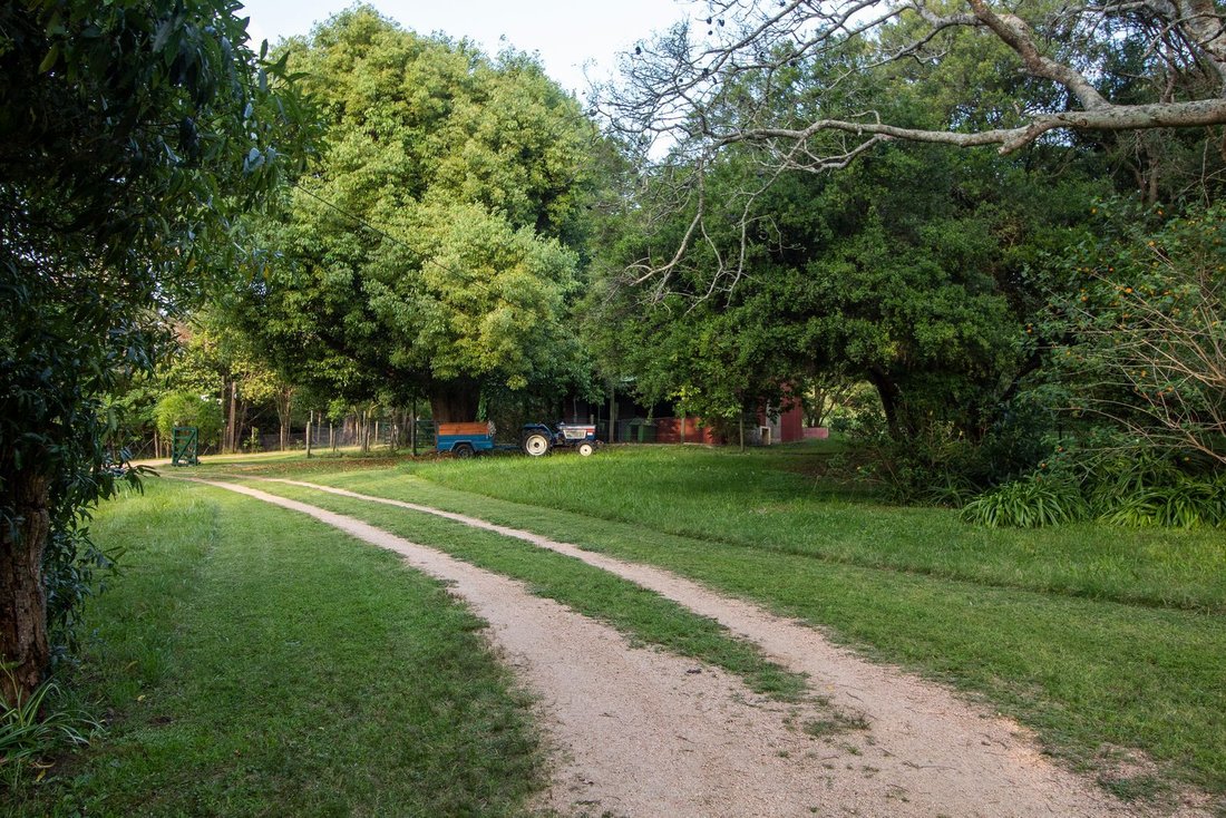 Villa in San Carlos, Maldonado Department, Uruguay 4 - 18658596