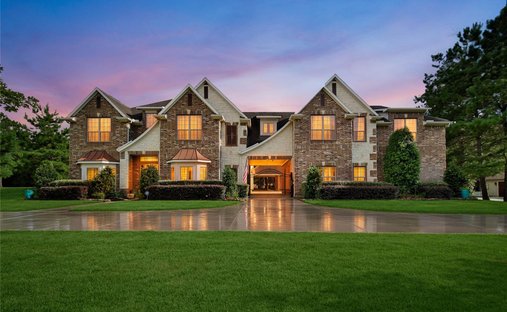House in Magnolia, Texas, United States 1