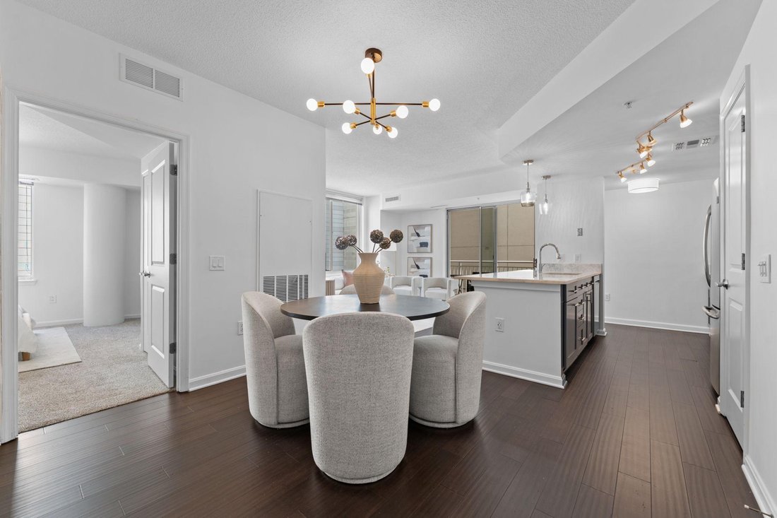 Condo in Silver Spring, Maryland, United States 4 - 18658723