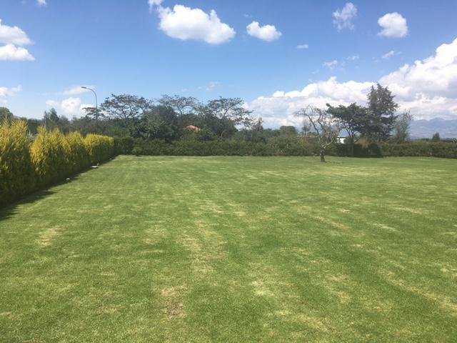 Land in Quito, Pichincha, Ecuador 2 - 18658945