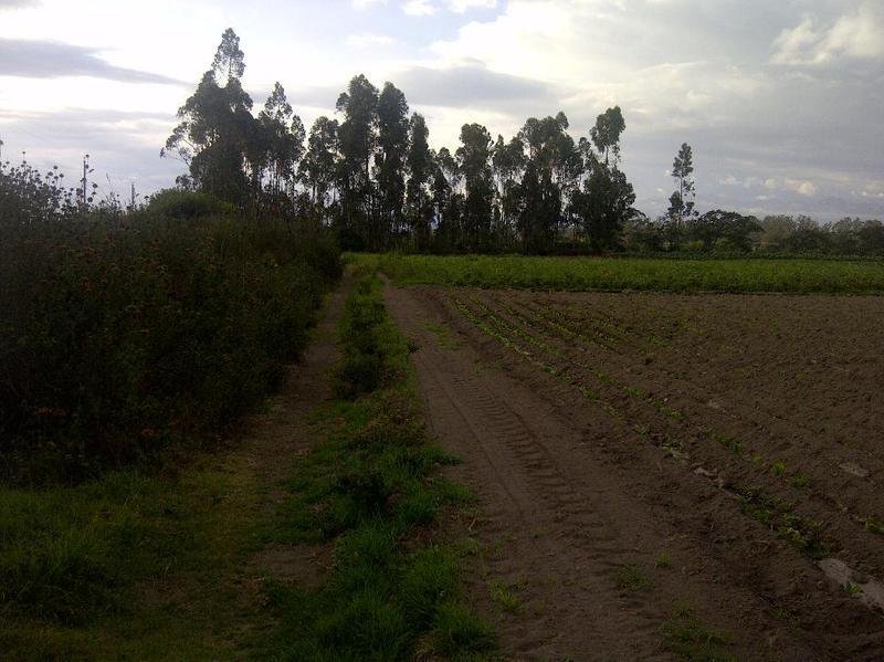 Land in Quito, Pichincha, Ecuador 4 - 18658903