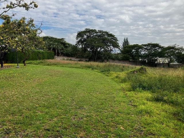 Land in Quito, Pichincha, Ecuador 1 - 18658855