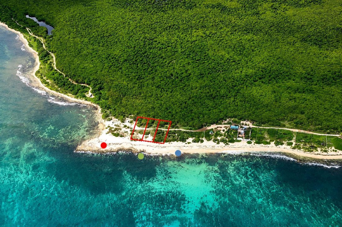 Land in Puerto Morelos, Quintana Roo, Mexico 2 - 18658853