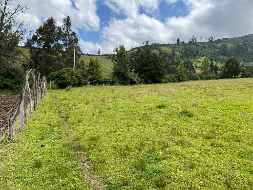 Farm Ranch in Quito, Pichincha, Ecuador 5 - 18661675