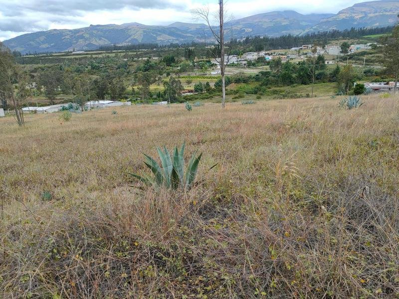 Land in Quito, Pichincha, Ecuador 1 - 18661376