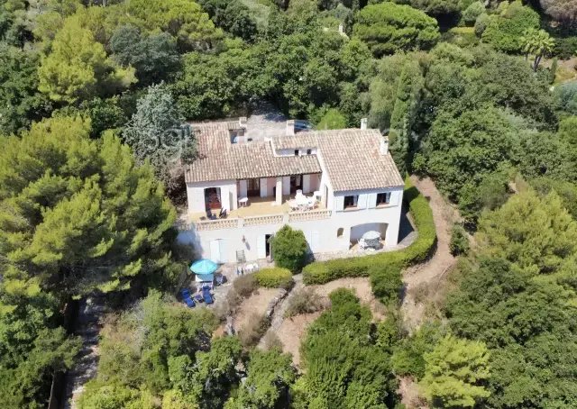 House in Ramatuelle, Provence-Alpes-Côte d'Azur, France 2 - 16246213