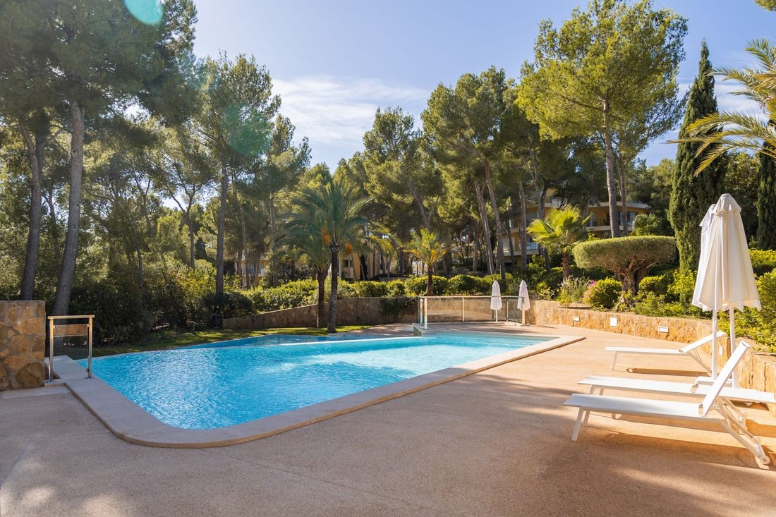 Apartment in Sol de Mallorca, Calvia, Balearic Islands 3 - 18663669