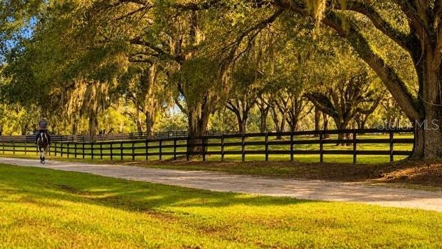 Farm Ranch in Newberry, Florida, United States 5 - 18659227