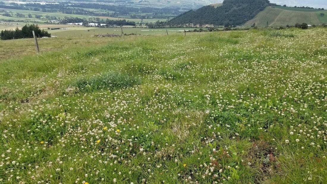 Farm Ranch in Machachi, Pichincha, Ecuador 3 - 18661464