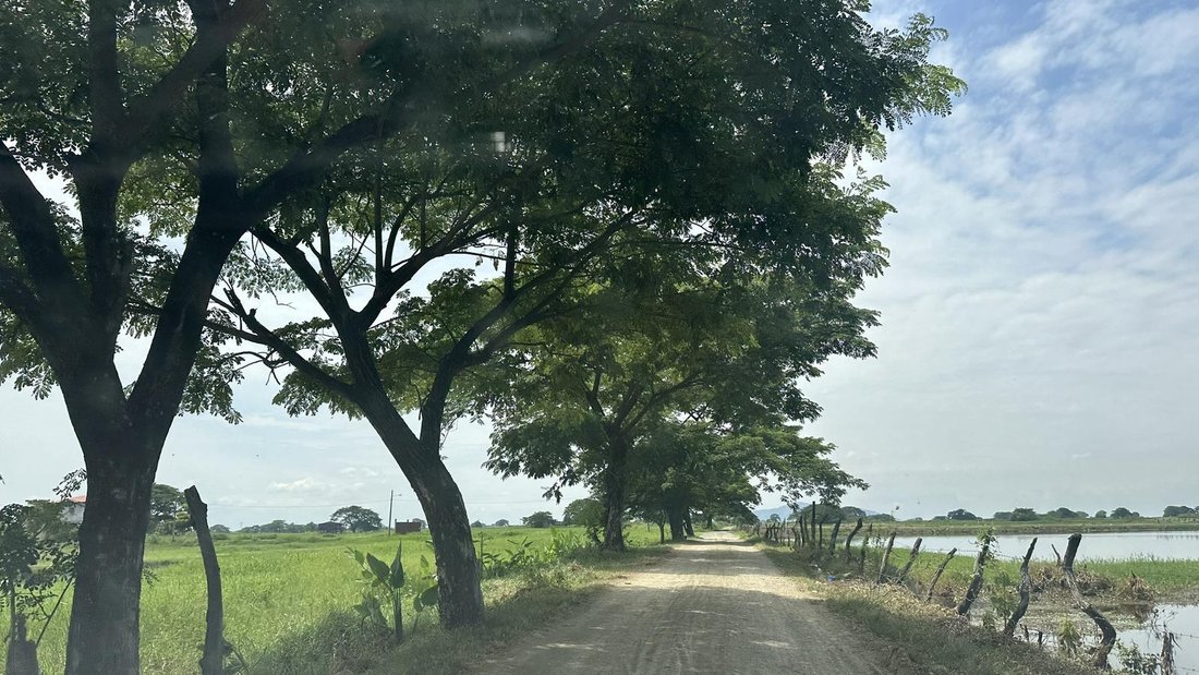 Land in Samborondón, Guayas, Ecuador 1 - 18660781