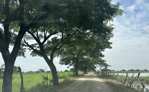 Terreno a Samborondón, Provincia del Guayas, Ecuador 1