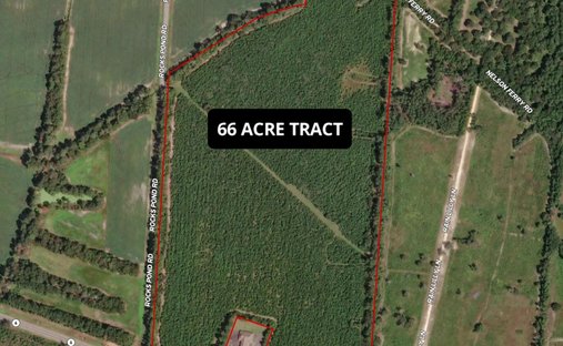 Land in Eutawville, South Carolina, United States 1