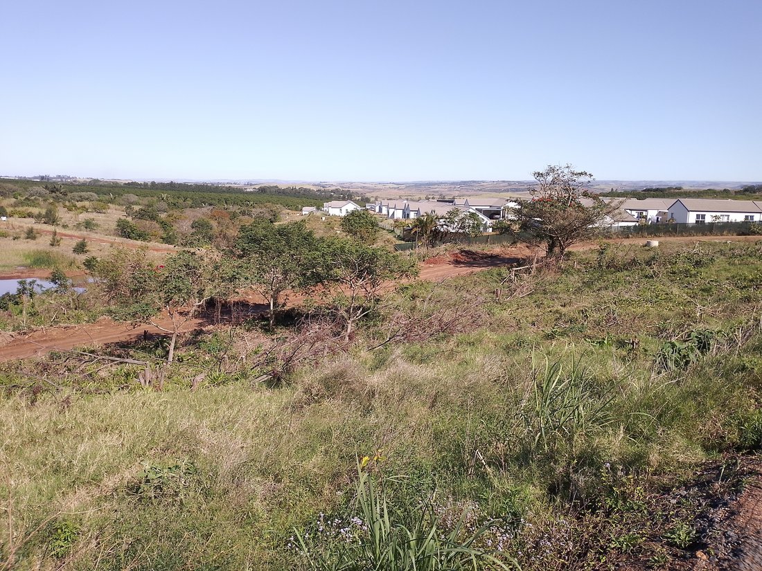 Land in Braamfontein, Gauteng, South Africa 3 - 18659736