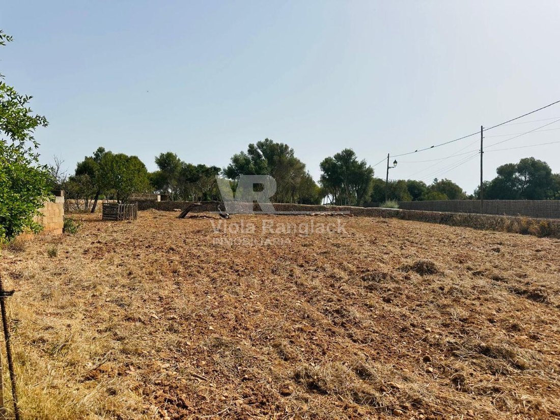 Land in Santanyi, Balearic Islands, Spain 2 - 18667785
