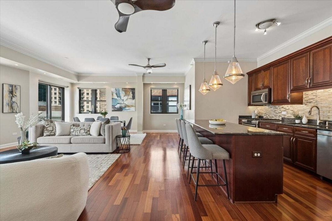 Condo in Chicago, Illinois, United States 4 - 18663116