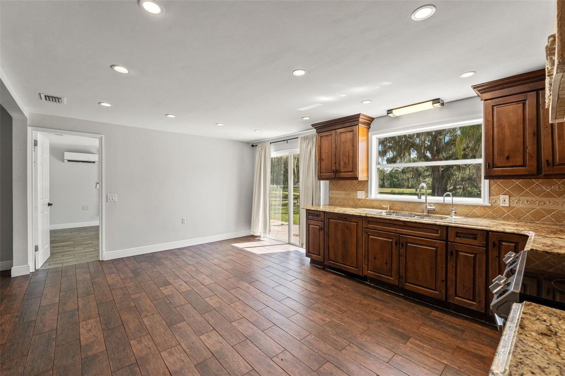 House in New Port Richey, Florida, United States 5 - 18659242