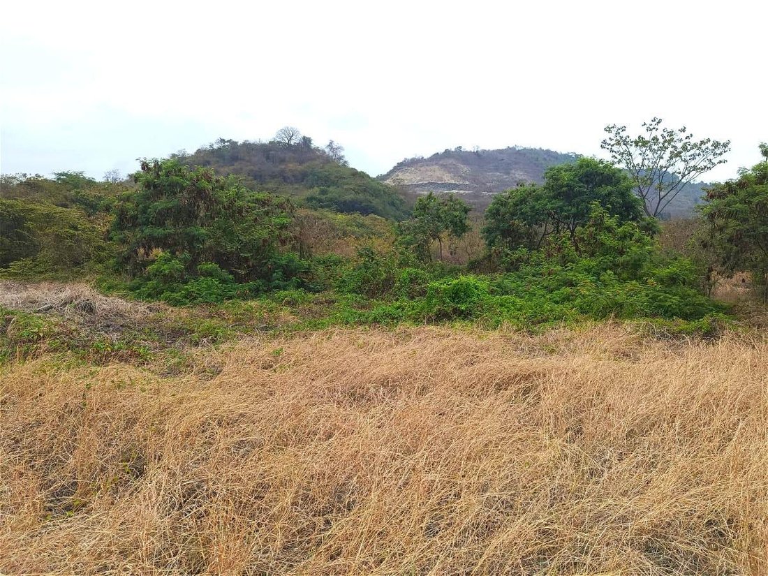 Land in Guayaquil, Guayas, Ecuador 1 - 18660163