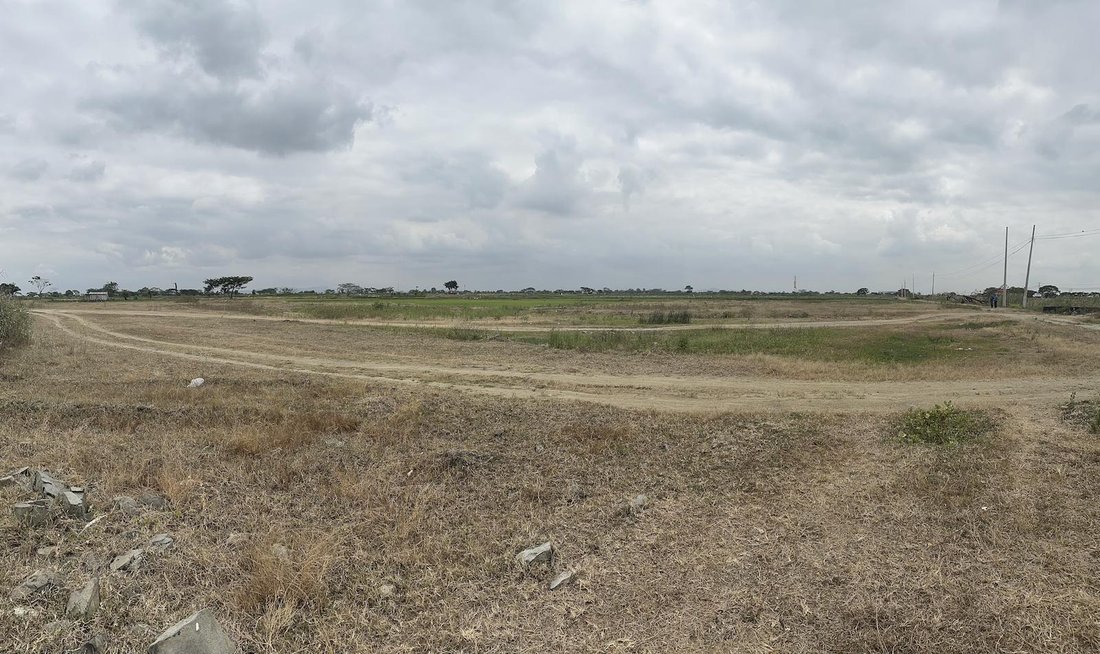 Land in Samborondón, Guayas, Ecuador 5 - 18660496