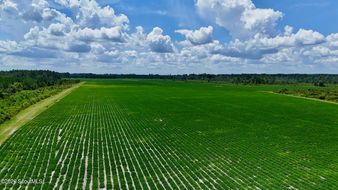 Farm Ranch in Alma, Georgia, United States 4 - 18663170