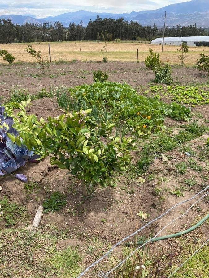 Farm Ranch in Quito, Pichincha, Ecuador 4 - 18661489