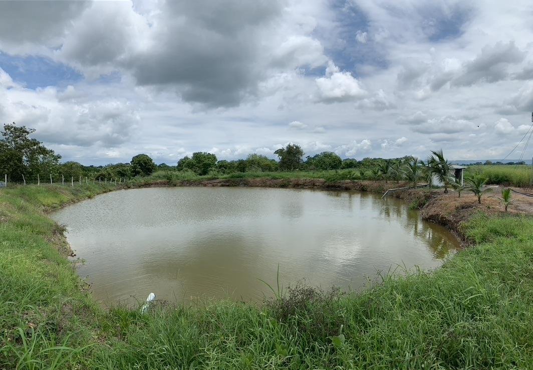 Land in Guayaquil, Guayas, Ecuador 5 - 18659924